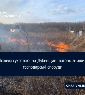 Пожежі сухостою: на Дубенщині вогонь знищив господарські споруди