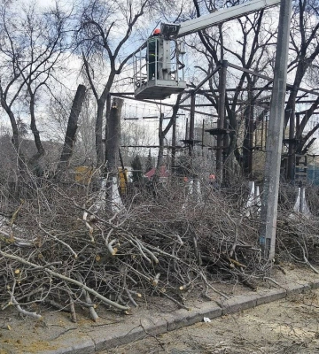 У дитячому містечку «Казка» у Миколаєві зносять дерева