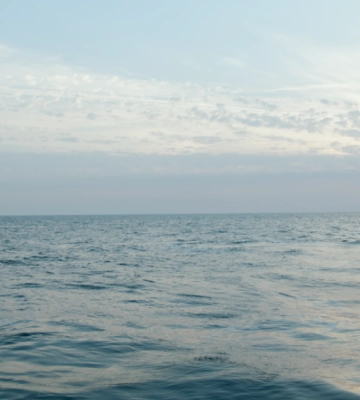 Екологи виявили плями олії у Чорному морі біля узбережжя Одеси