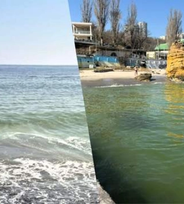 Черное море покрылось желтыми пятнами в Одессе: что стало причиной