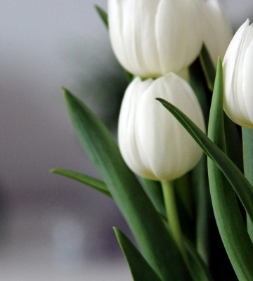 В выходные дни в Украине незначительное потепление, на западе и юге местами небольшой дождь