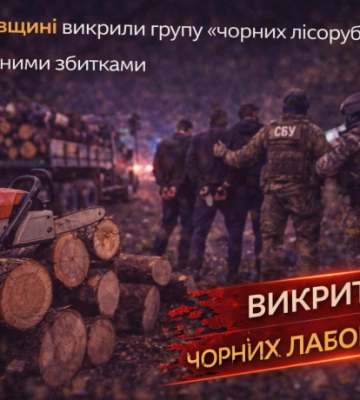 На Полтавщині викрили групу «чорних лісорубів» із мільйонними збитками