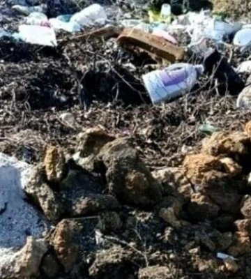 На Одещині прибрали три стихійні сміттєзвалища після втручання екоінспекції