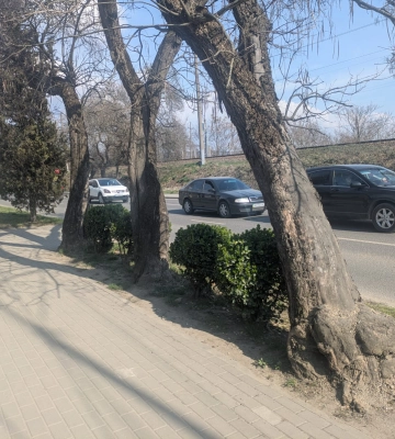Водіям приготуватися: в Ужгороді перекриють частину вулиці — причина здивує багатьох