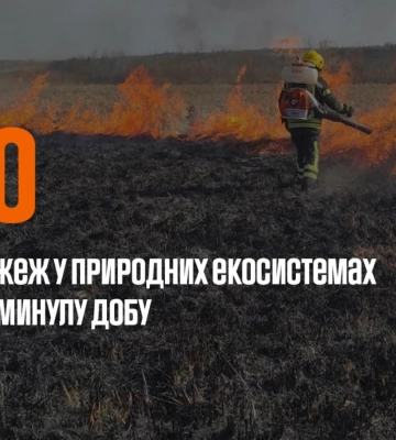 За добу на Волині приборкали сім пожеж в екосистемах