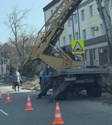 Мелитополь под топор: аварийные деревья убирают, а новые никто не сажает 