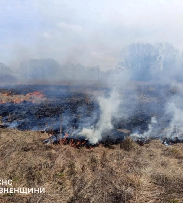 На Рівненщині за добу сталося 17 пожеж в екосистемах: вигоріло понад 5 гектарів