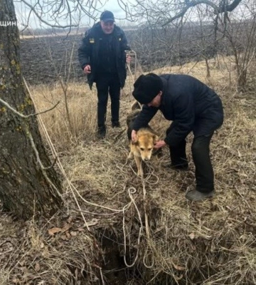 На Полтавщині рятувальники витягли собаку з 10-метрової ями