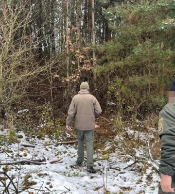 Прокуратура подала иск к лесхозу из-за незаконной вырубки деревьев в Тернопольской области