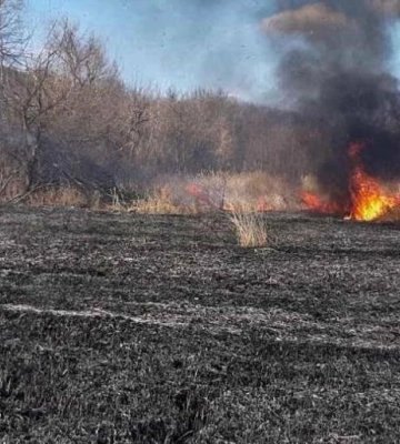 За останній тиждень на Одещині сталося 47 пожеж сухої рослинності