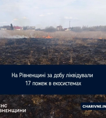 На Рівненщині за добу ліквідували 17 пожеж в екосистемах