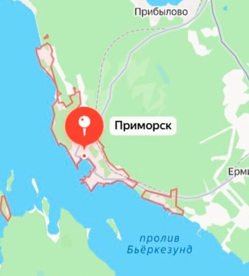 В Ленинградской области РФ заявили о массированной атаке дронов и пожаре в порту
