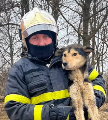 На Київщині врятували собаку, який впав у яму з битим склом (ФОТО)