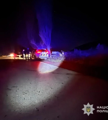 На Закарпатті водія засудили до 7 років тюрми за ДТП із двома загиблими підлітками
