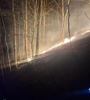 На Хустщині вогнеборці спільно з лісівниками ліквідували загорання лісової підстилки