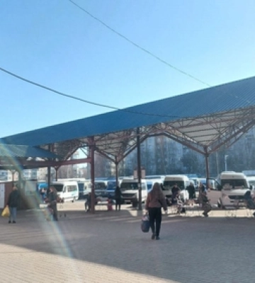 Ціни кусаються: на волинському ринку продають першу полуницю
