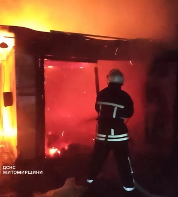 На Житомирщині рятувальники ліквідовують пожежі в природних екосистемах