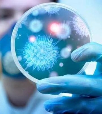 Масове поширення вірусів: що відбувається на Дніпропетровщині