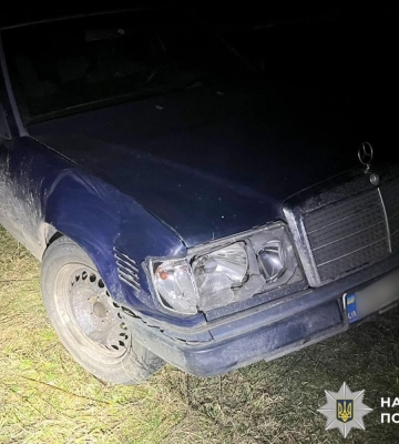 На півночі Рівненщини розшукали водійку, яка збила оленя Бориса