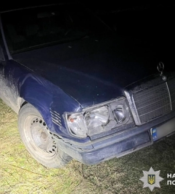 ⚡️Знайшли водійку, яка збила оленя Бориса та втекла з місця аварії