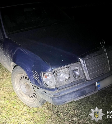 На півночі Рівненщини розшукали водійку, яка збила оленя Бориса