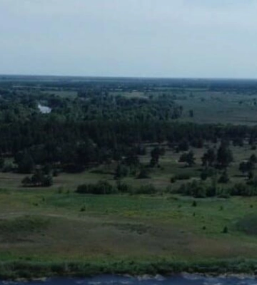 Катастрофа для степів і чорноземів: незаконна оренда заповідних земель у Дніпрі