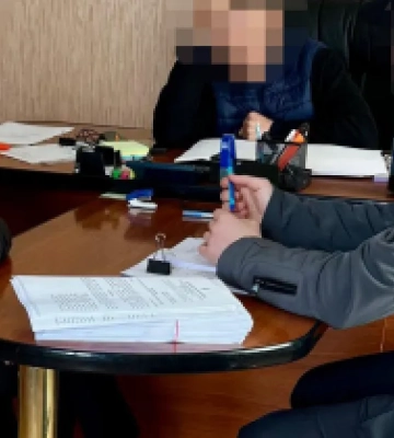 Схема на миллионы: в Херсонской области вырубили более 2 тысяч деревьев