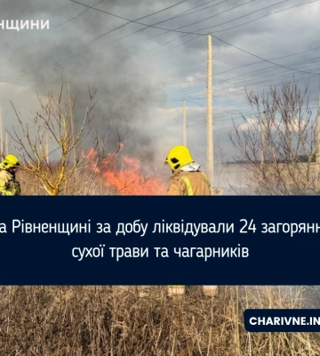 На Рівненщині за добу ліквідували 24 загоряння сухої трави та чагарників