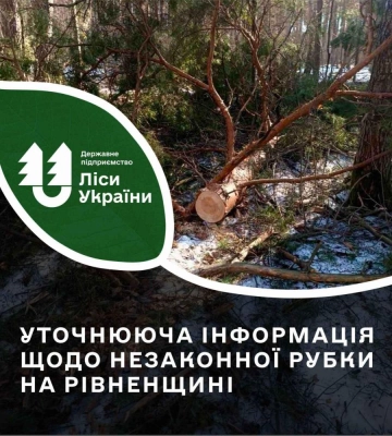 На Рівненщині виявили факт незаконної вирубки лісу: збитків на понад 1,5 млн грн