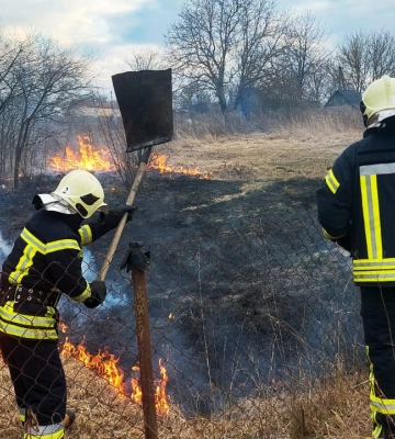 Вогонь в очереті – це не про траву: на Волині розкрили страшну правду