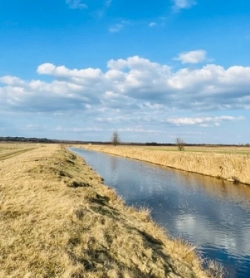 Сніг не врятував: у річках Волині – низький рівень води 