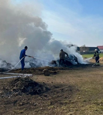 Вогонь в очереті – це не про траву: на Волині розкрили страшну правду