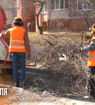 Безкоштовне подрібнення: як у Рівному очищають двори від гілля (ВІДЕО)