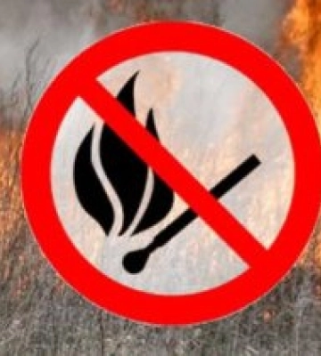 Пожежна небезпека Закарпаття: чому весняні підпали трави стають фатальними