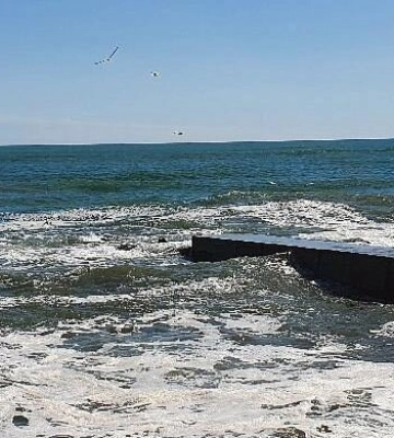Черное море загрязнено маслом из-за российских ударов: к одесским пляжам прибило грязные пятна
