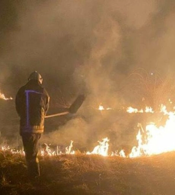 За добу на Львівщині сталося 46 пожеж в екосистемах: вигоріло майже 4 гектари