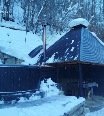 Захопив ліс і збудував «оазу»: на Закарпатті викрили лісничого з незаконним маєтком за понад 11 млн грн