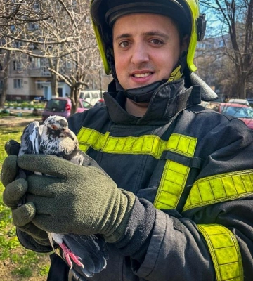 В Одесі надзвичайники врятували птаха, який заплутався в дротах