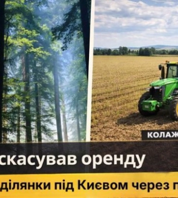Суд отменил аренду лесного участка под Киевом из-за нарушений законодательства