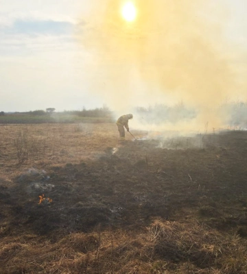 Торф, чагарники та суха трава: на Волині за добу ліквідували 10 пожеж