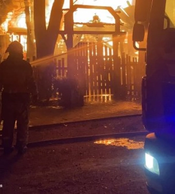 Нічна пожежа в Ужгороді: полум’я ледь не знищило паркову зону — врятували за лічені хвилини