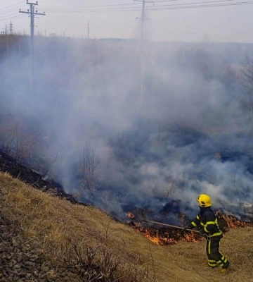 Рятувальники Рівненщини лише за минулу добу ліквідували 22 пожежі у природних екосистемах
