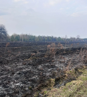 На Закарпатті пройдуть масштабні планові навчання з цивільного захисту