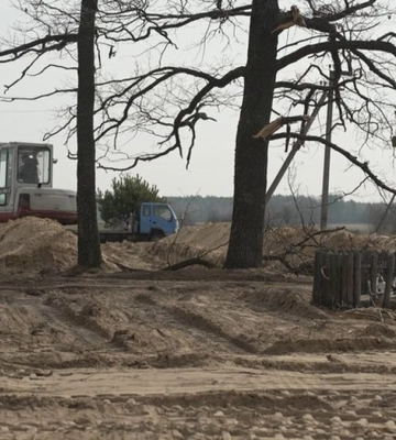 В Углах на Рівненщині завершили пошукові роботи, масових поховань не виявили - Мінкультури