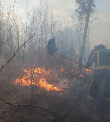 На Волині через людську недбалість вигоріло близько 8 га сухої трави та чагарників