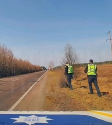 На Волині на узбіччі помітили знесилену жінку – її забрали патрульні (відео)