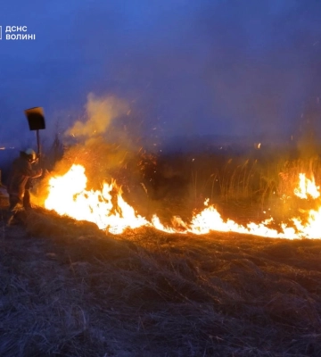 Через людську недбалість на Волині вигоріло 8 гектарів трави, чагарників та очерету