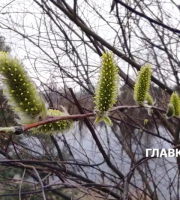 Якою погодою закінчиться березень – прогноз синоптиків