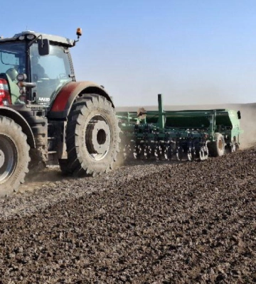 Три господарства Tekom Agro Group завершили посів сочевиці