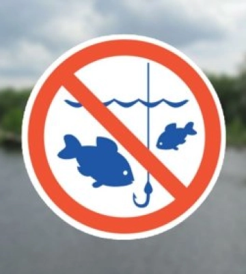 Рибалкам приготуватися: на Закарпатті ввели жорсткі обмеження — що тепер під забороною